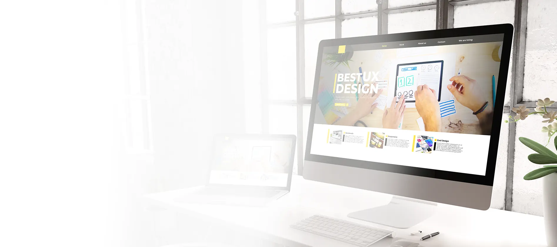 CANARY CREEK DESIGNERS